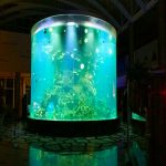 China personalizado barato super grande ronda pmma acuarios de cristal claro cilindro acrílico tanques de peces