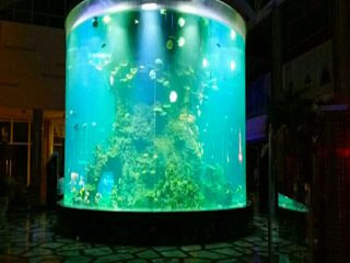 China personalizado barato super grande ronda pmma acuarios de cristal claro cilindro acrílico tanques de peces