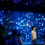 Acuario de las medusas de acrílico 2018 de vidrio