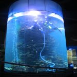 Cilindro acrílico transparente tanque de peces grandes para acuarios o parque marino