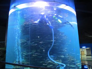 Cilindro acrílico transparente tanque de peces grandes para acuarios o parque marino