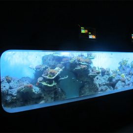 Acuario de peces transparente cilíndrico acrílico artificial transparente / ventana de visualización