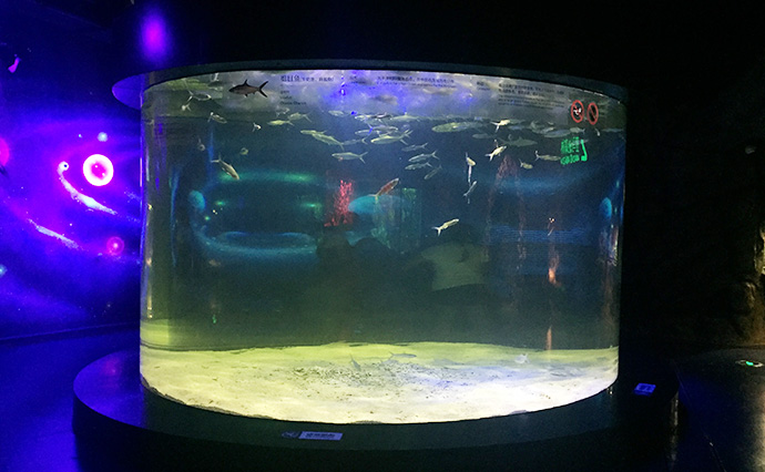 China Acrílico Fish Tank Supplier - Zunhai Acrílico