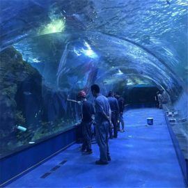 Túnel acrílico de proyecto oceanario en acuarios públicos.