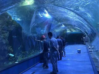 Túnel acrílico de proyecto oceanario en acuarios públicos.