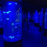 Acuario de acuario medusas de acrílico