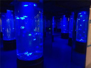 Acuario de acuario medusas de acrílico